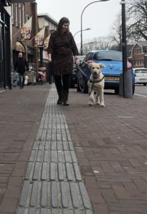 jonge vrouw met blinde geleide hond in een winkelstraat